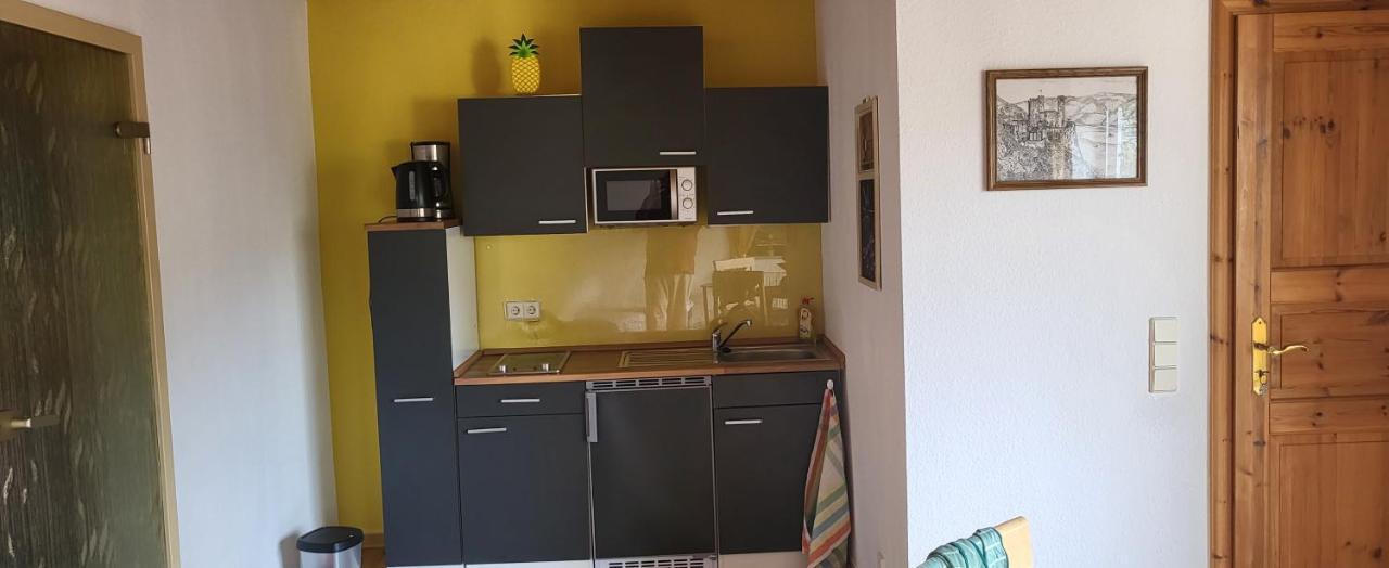 Ferienwohnung Zum Rheinblick Kestert Exterior photo